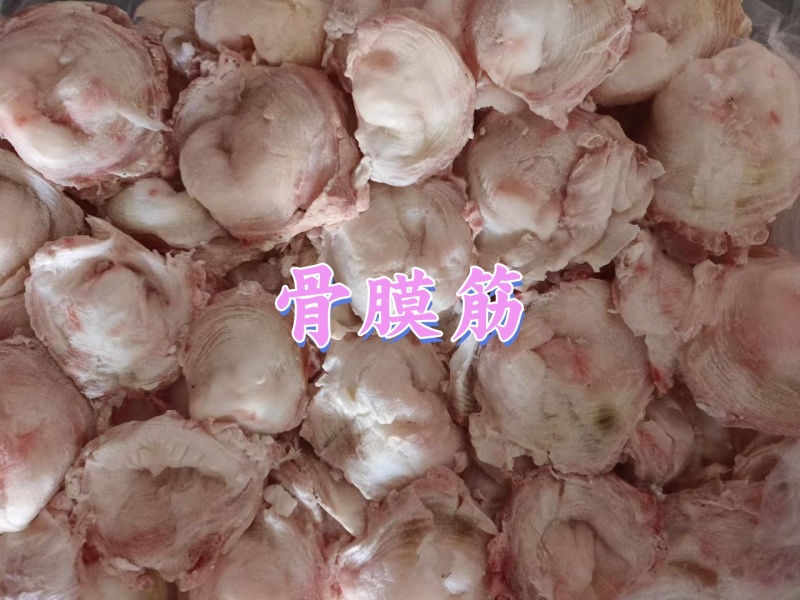 骨膜筋