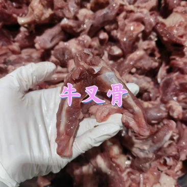 牛叉骨