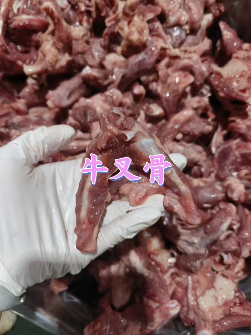牛叉骨