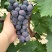 京亚