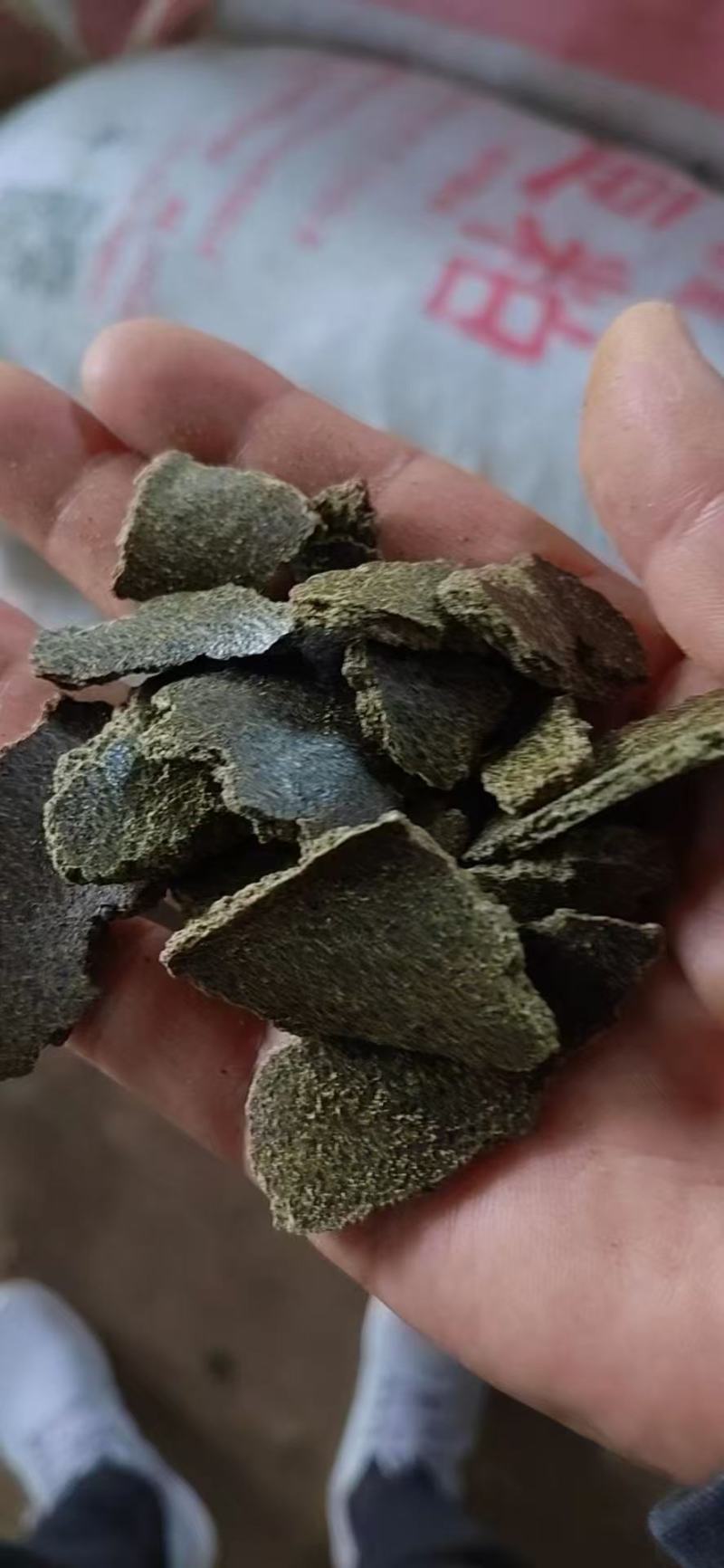 养殖菜籽饼种植菜籽有机饼肥养鱼饼青黄饼大量现货全国可发