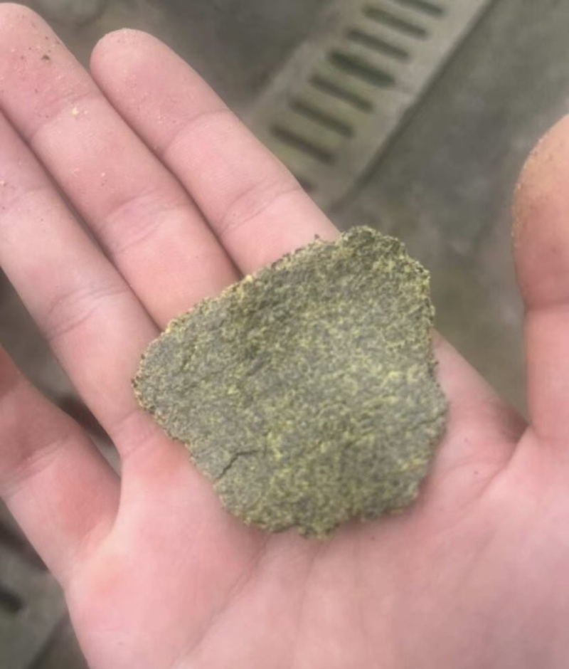 养殖菜籽饼种植菜籽有机饼肥养鱼饼青黄饼大量现货全国可发