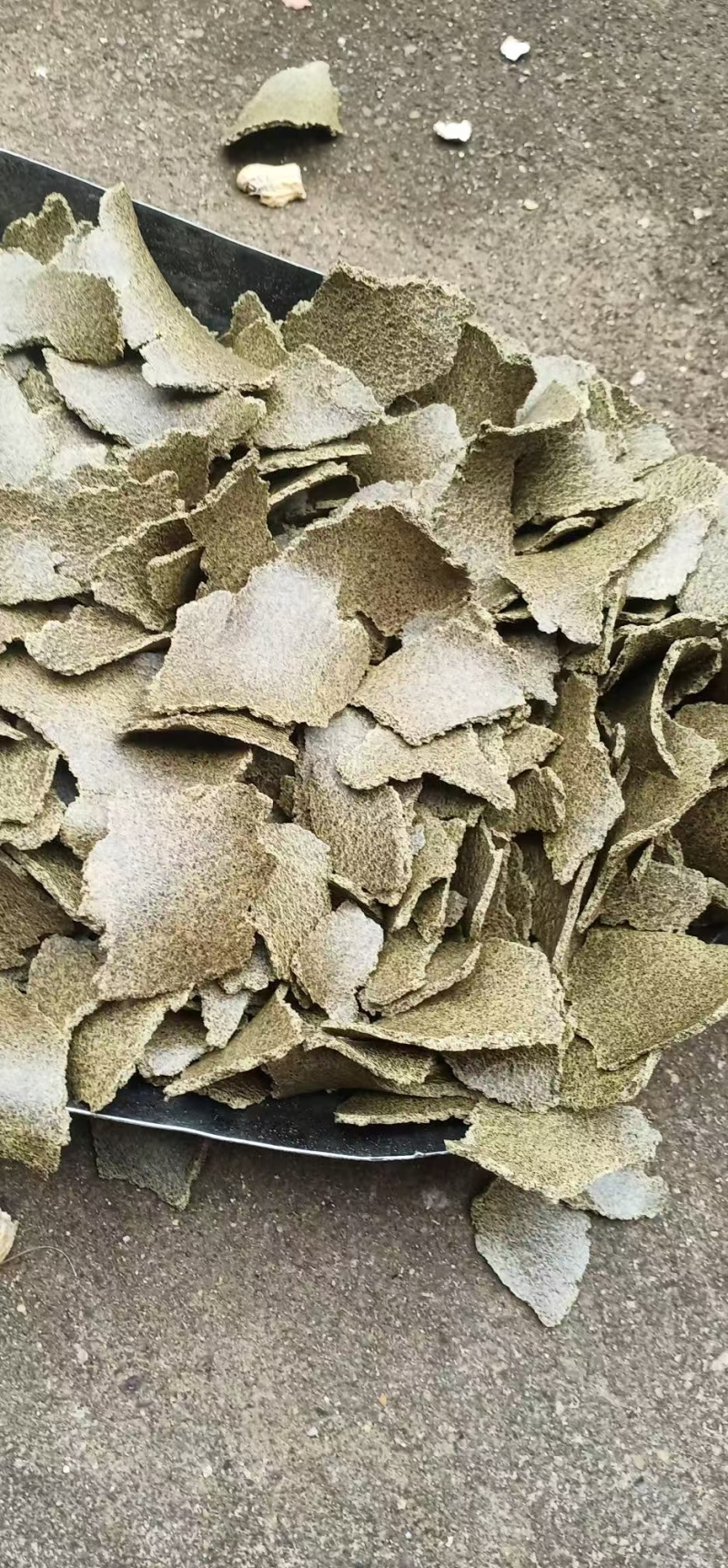 养殖菜籽饼种植菜籽有机饼肥养鱼饼青黄饼大量现货全国可发