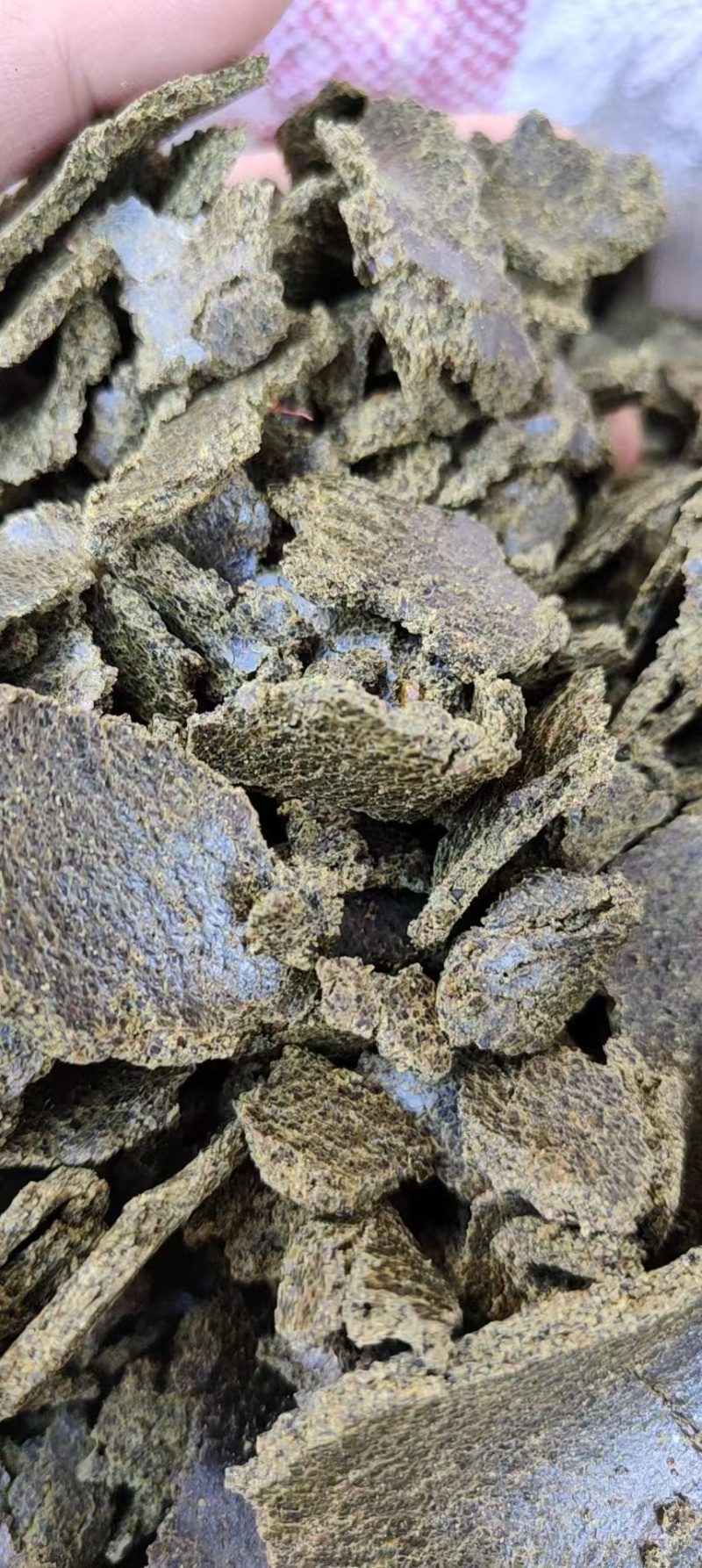 养殖菜籽饼种植菜籽有机饼肥养鱼饼青黄饼大量现货全国可发