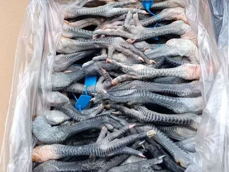 鸡爪凤爪价格公道冷链发货规格齐全质量保证