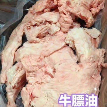 牛膘油