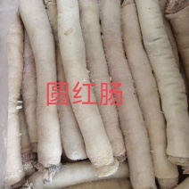 圆红肠