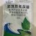 氯溴异氰尿酸真菌细菌病毒病都可以防治