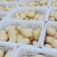 新沃土荷兰希森全国代发质量保证自己的专业团队为你护航