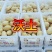 新沃土荷兰希森全国代发质量保证自己的专业团队为你护航