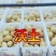 新荷兰沃土希森产地直供一手货源并有专业团队为你护航