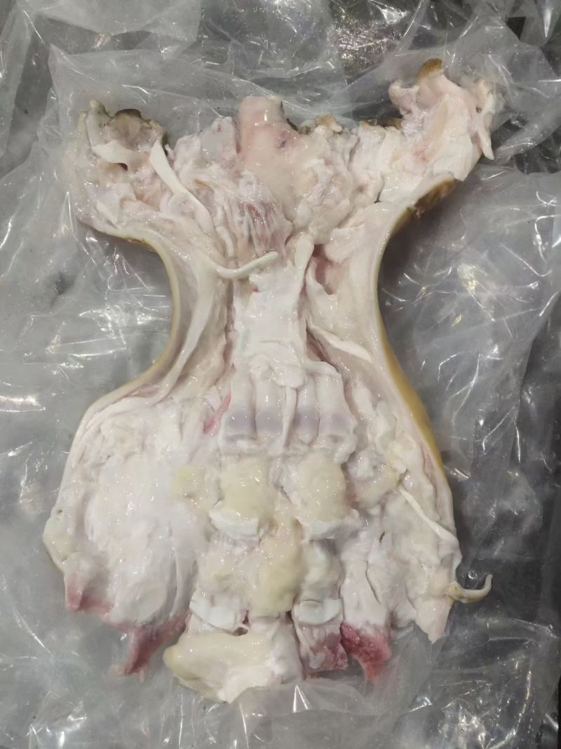 全去骨牛蹄