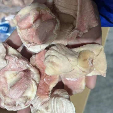 单冻蛋鸡胗/老母鸡胗/肉鸡胗