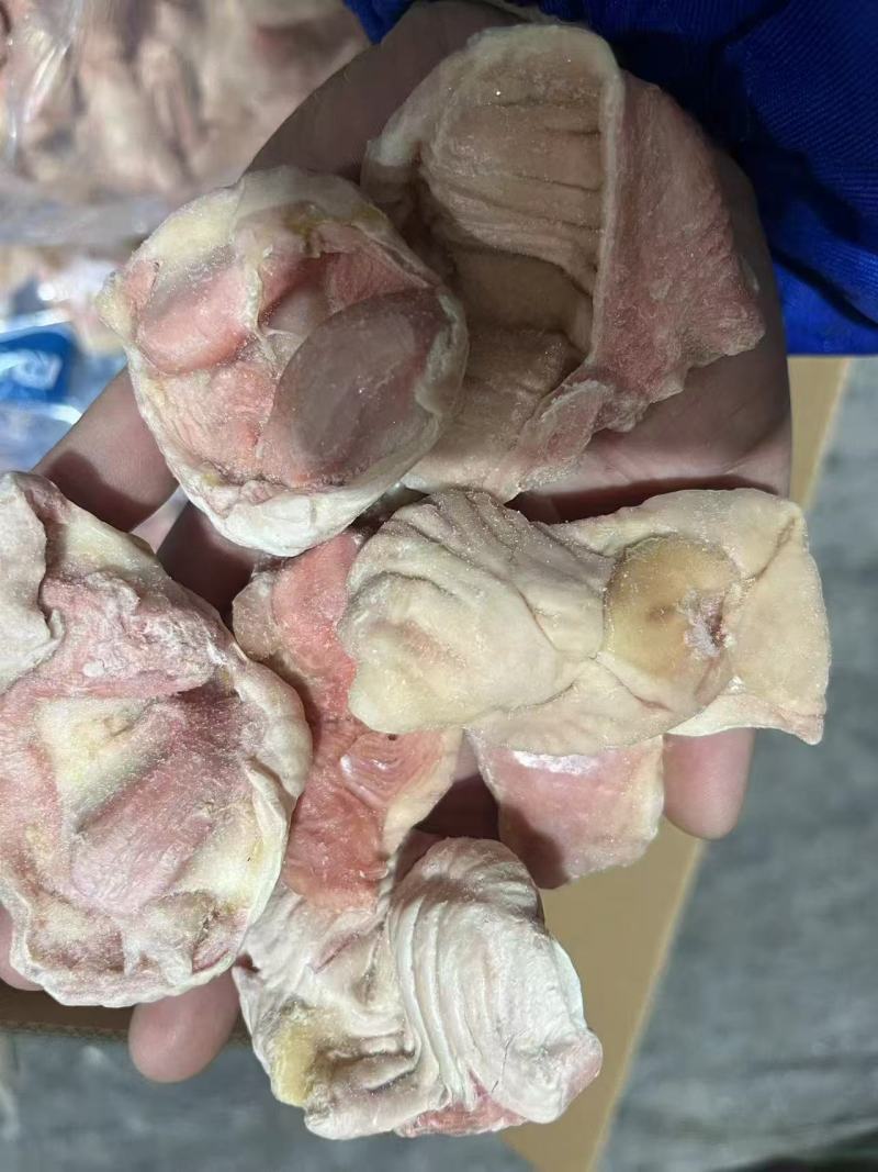 单冻蛋鸡胗/老母鸡胗/肉鸡胗