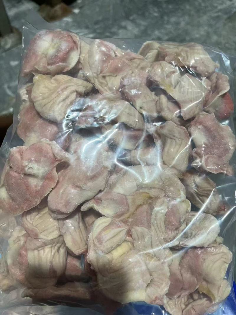 单冻蛋鸡胗/老母鸡胗/肉鸡胗