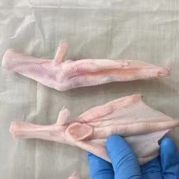 鸭掌
