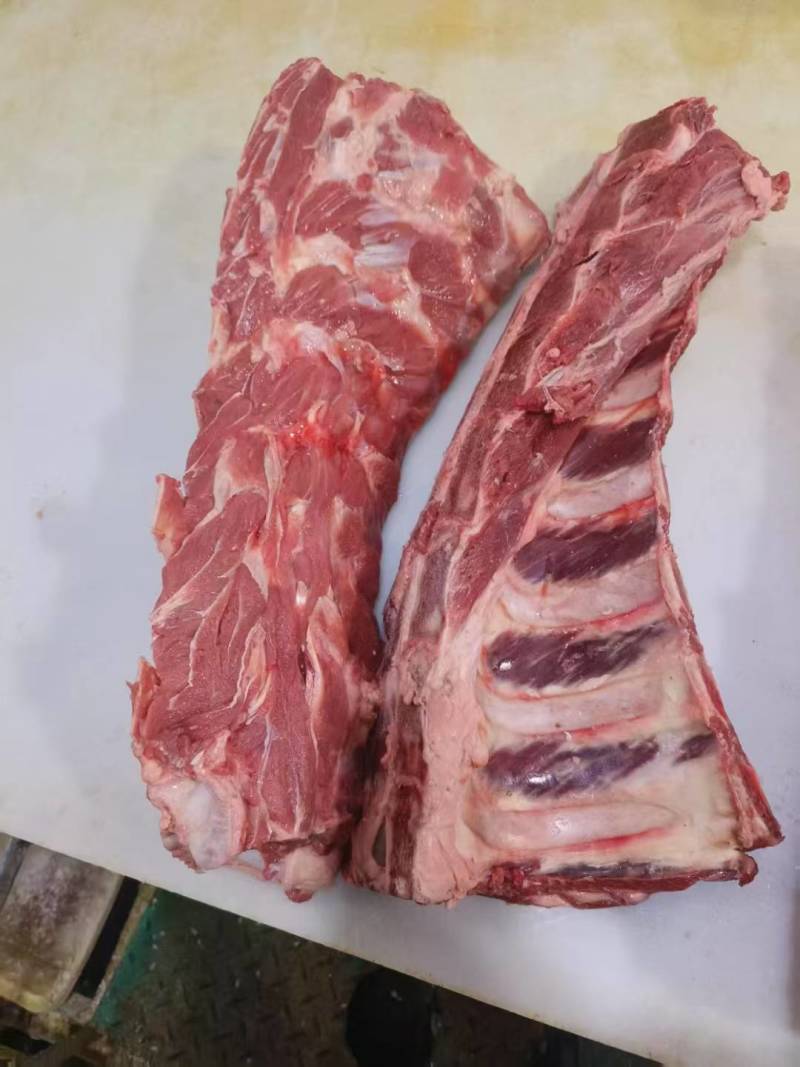 牛肩胛骨手把排