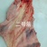 牛宫后筋二号筋