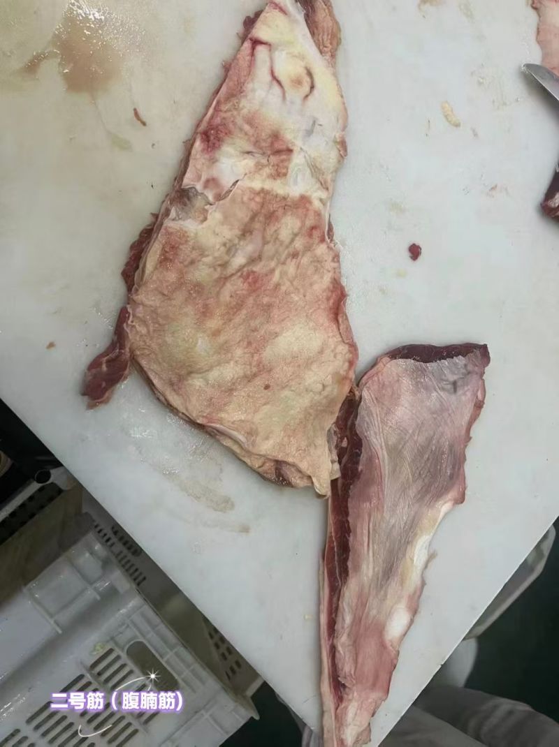 牛宫后筋二号筋