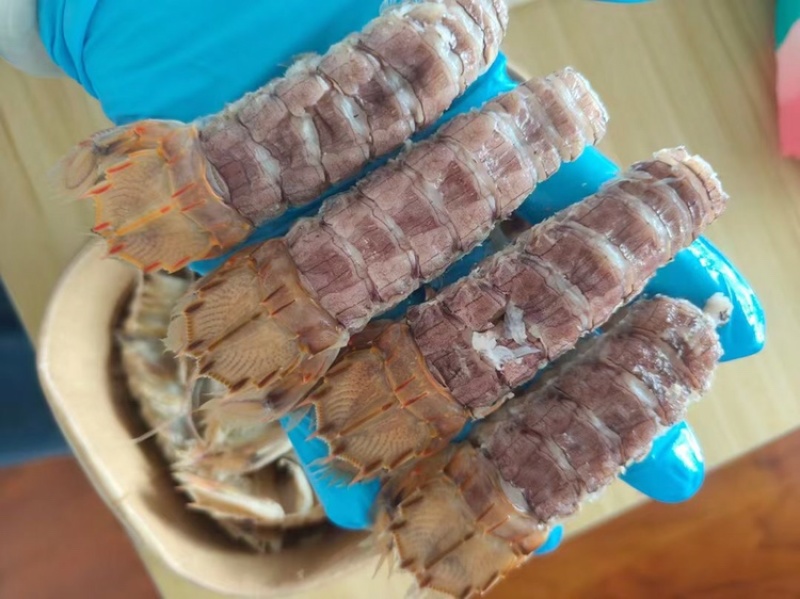 熟冻带壳皮皮虾