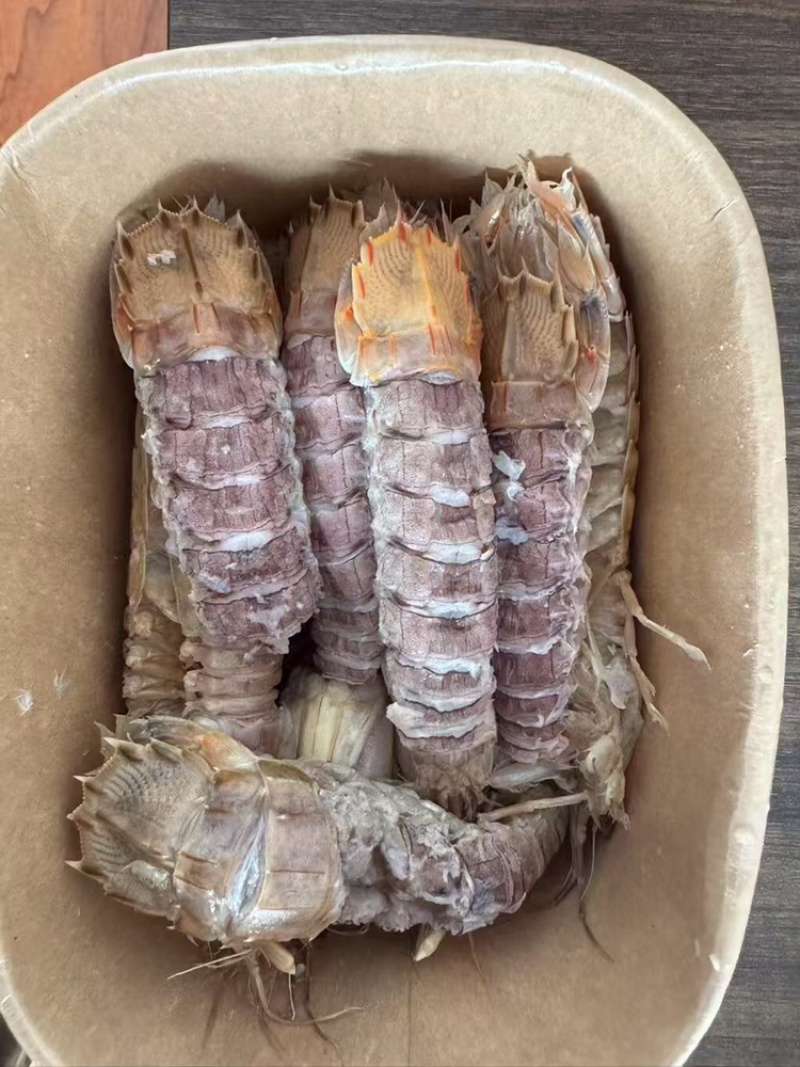 熟冻带壳皮皮虾