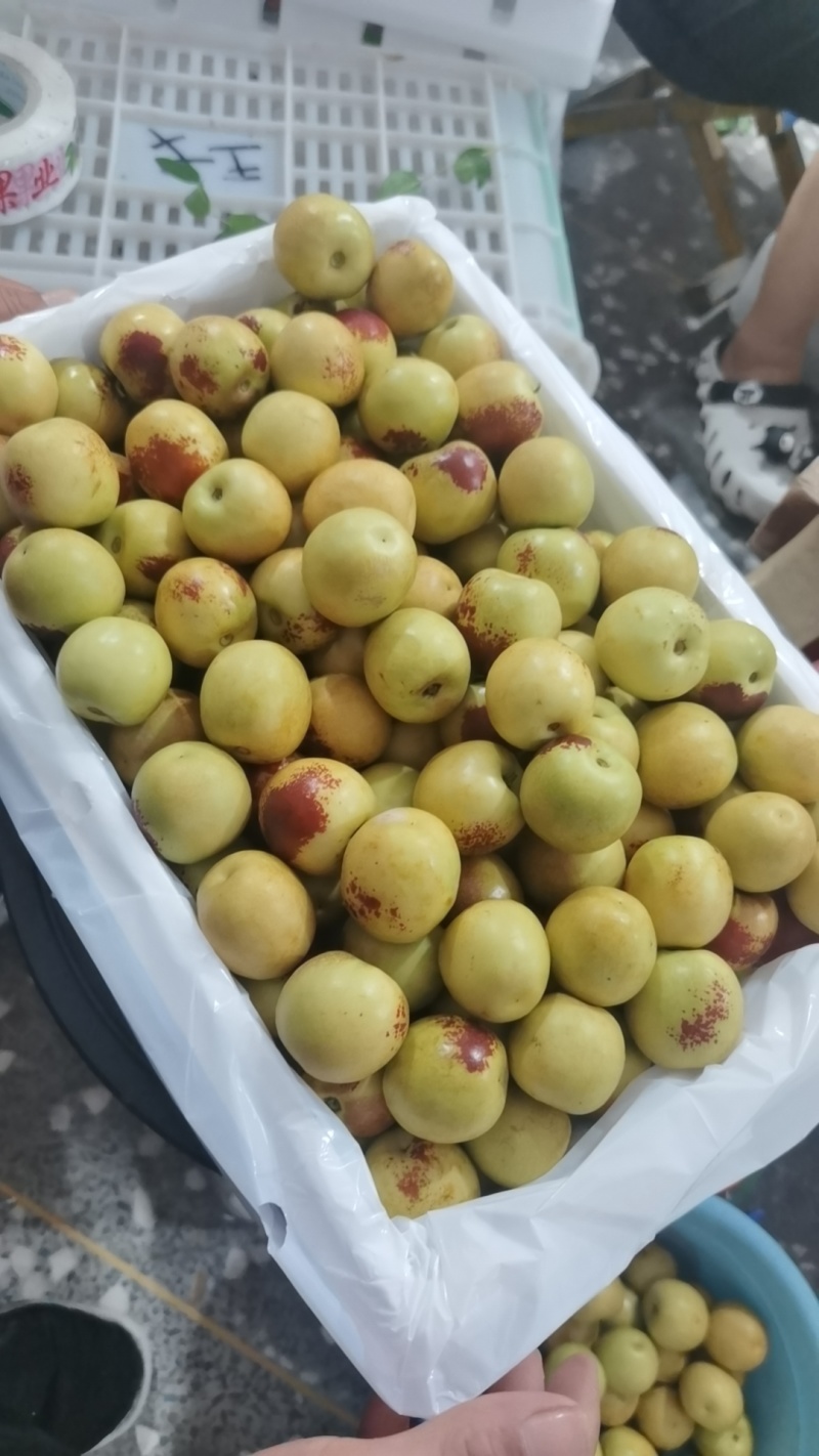 冬枣一件代发，对接各大平台，电商，商超
