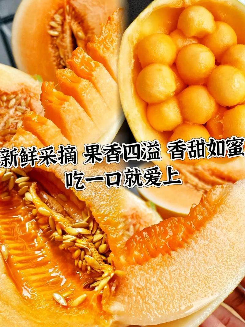 【沙漠直发】甘肃民勤沙漠黄金蜜瓜金红宝原产地