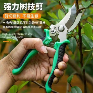 园林不锈钢省力果树剪刀修枝剪花剪粗枝剪园艺工具树枝剪花枝剪刀