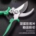 园林不锈钢省力果树剪刀修枝剪花剪粗枝剪园艺工具树枝剪花枝剪刀