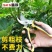 园林不锈钢省力果树剪刀修枝剪花剪粗枝剪园艺工具树枝剪花枝剪刀
