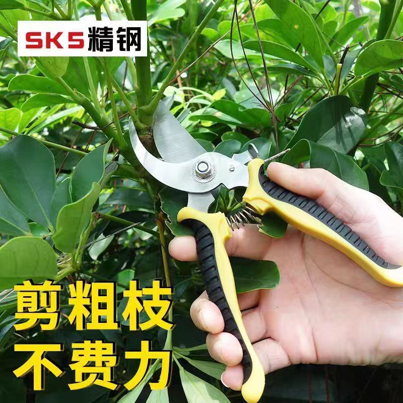 园林不锈钢省力果树剪刀修枝剪花剪粗枝剪园艺工具树枝剪花枝剪刀