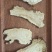 中华当归甲天下，岷县当归甲中华。#岷归片