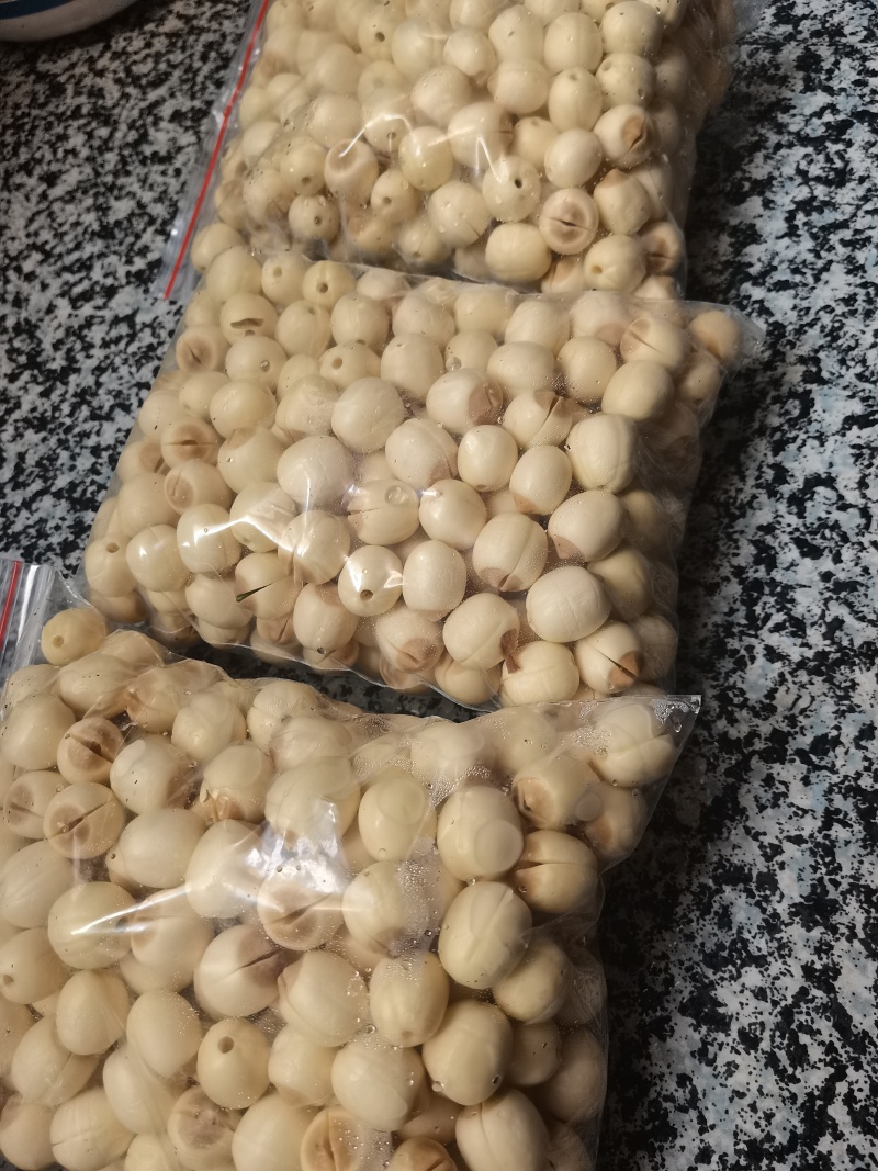 新鲜去心鲜白莲，基地直供，全国发货，可一件代发