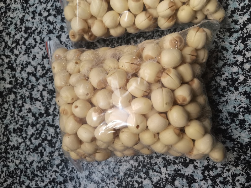 新鲜去心鲜白莲，基地直供，全国发货，可一件代发