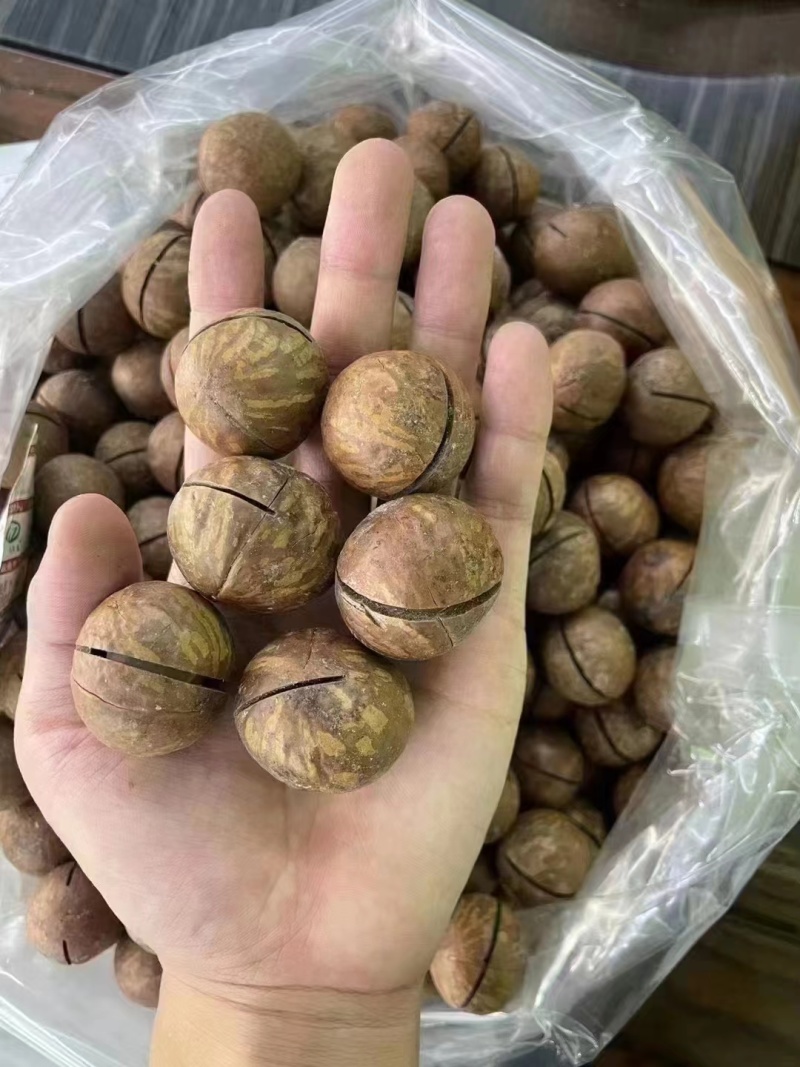 新货夏威夷果坚果炒货奶油味夏果干果仁散装年货孕妇量大优惠
