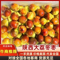 陕西大荔冬枣鲜枣大量上市一手货源价格美丽