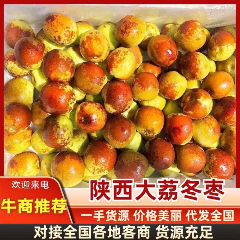 陕西大荔冬枣鲜枣大量上市一手货源价格美丽