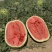 【宁夏】硒砂瓜🍉大量有货，质量三包，价格美丽，口感好