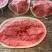【宁夏】硒砂瓜🍉大量有货，质量三包，价格美丽，口感好