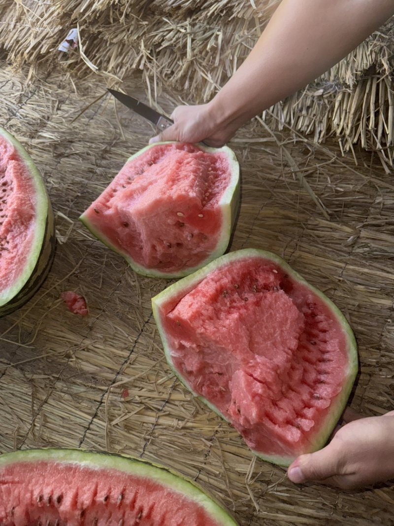 【宁夏】硒砂瓜🍉大量有货，质量三包，价格美丽，口感好