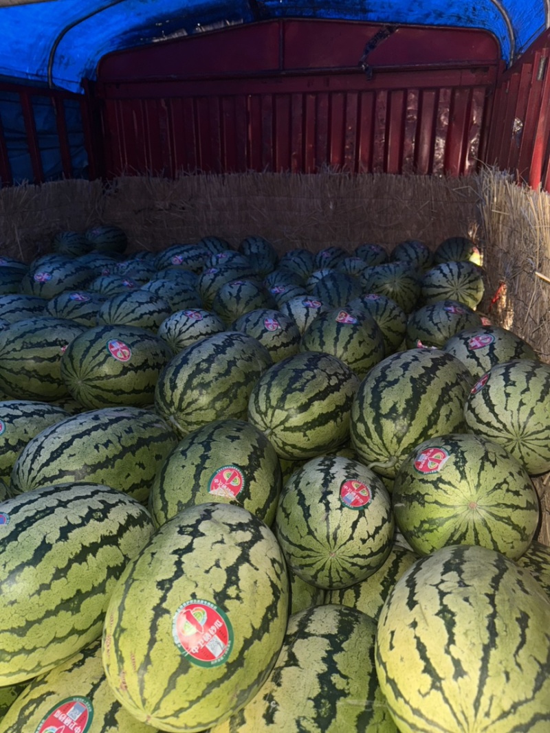 【宁夏】硒砂瓜🍉大量有货，质量三包，价格美丽，口感好
