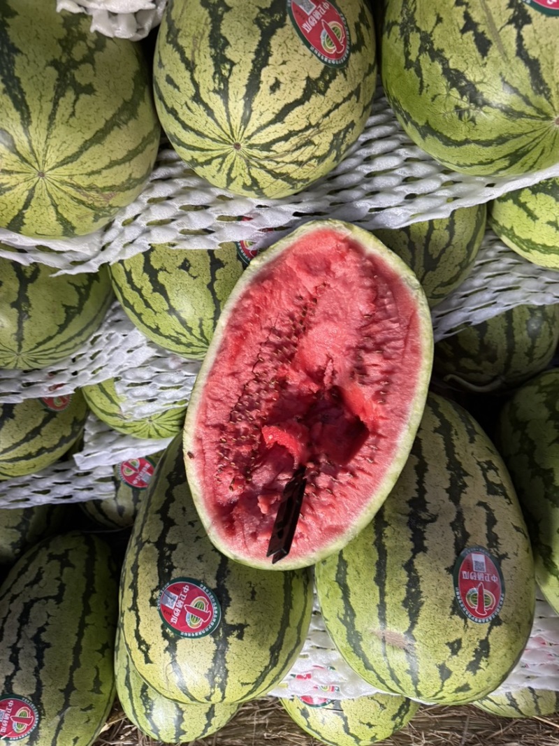 【宁夏】硒砂瓜🍉大量有货，质量三包，价格美丽，口感好