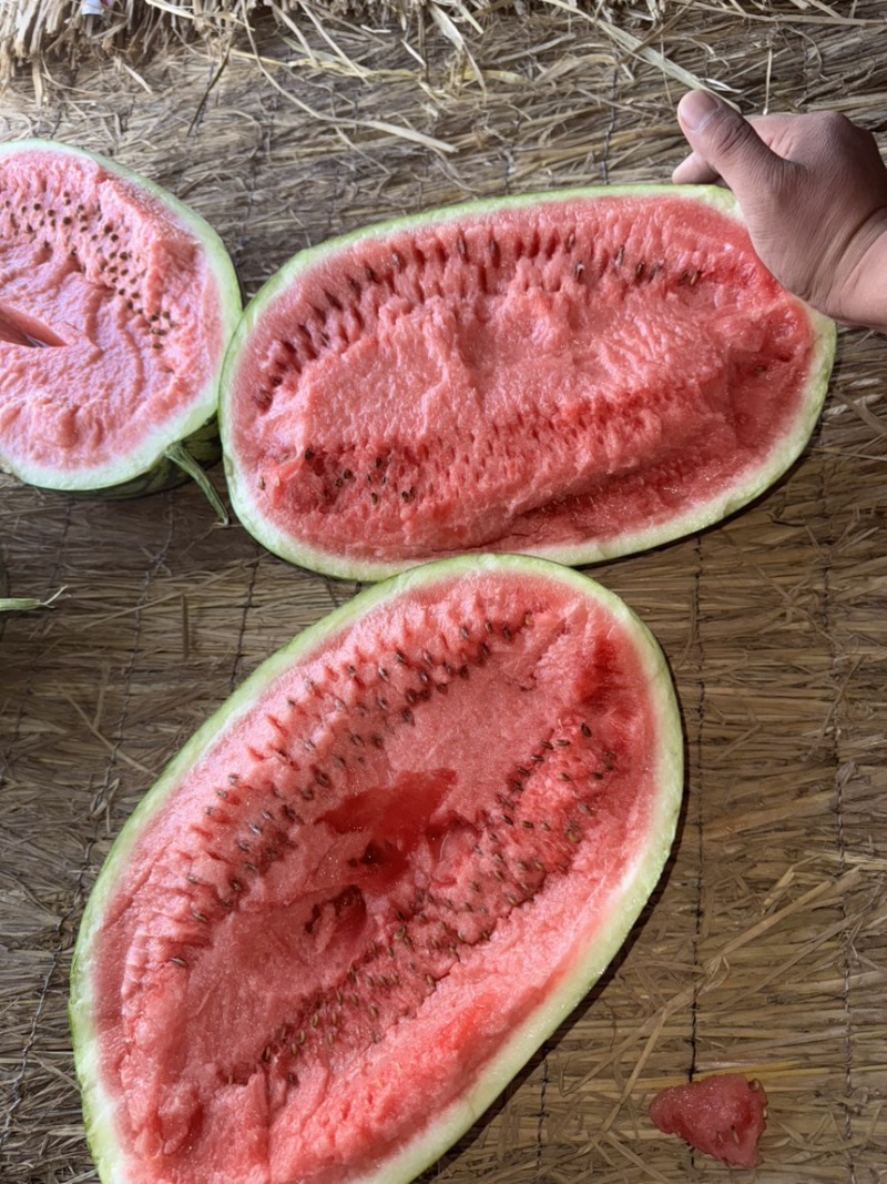 【宁夏】硒砂瓜🍉大量有货，质量三包，价格美丽，口感好