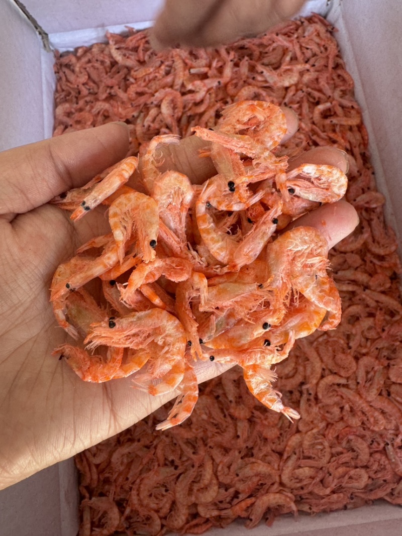 精品南极磷虾，九成干，颜色好，个头大，现货