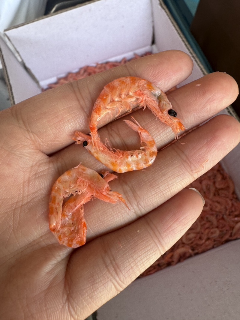 精品南极磷虾，九成干，颜色好，个头大，现货