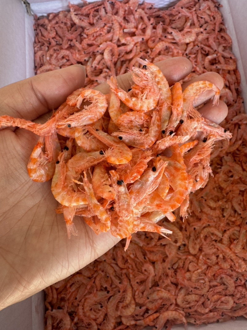 精品南极磷虾，九成干，颜色好，个头大，现货