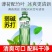 【新品上市】竹叶薄荷水305ml整箱无糖原液整箱批苏打天然水