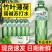 【新品上市】竹叶薄荷水305ml整箱无糖原液整箱批苏打天然水