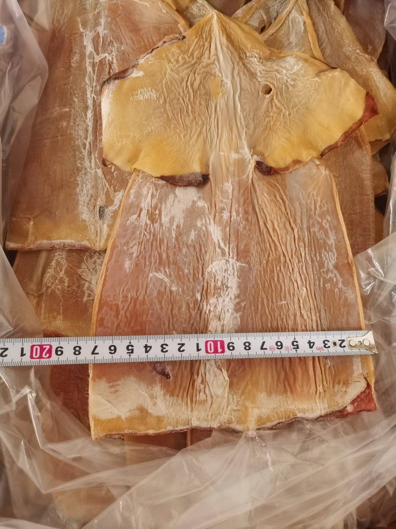 推荐鱿鱼干干货规格齐全厂家直供量大从优全国发货