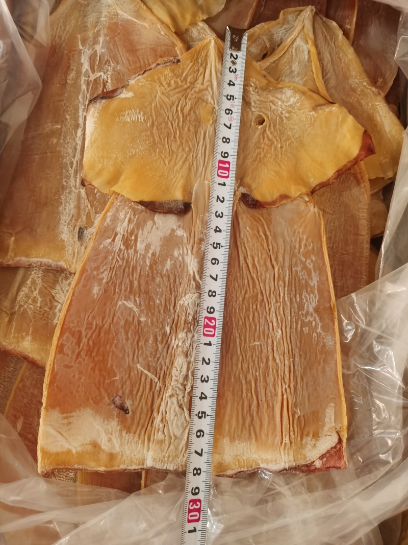 推荐鱿鱼干干货规格齐全厂家直供量大从优全国发货